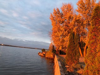 103 Ch. Fraser Photo 8