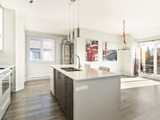 4095 Rue Ouellette Photo 3
