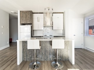 4095 Rue Ouellette Photo 4