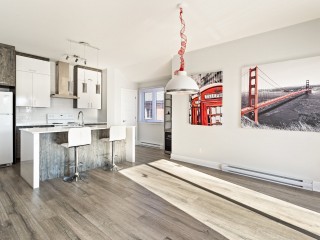4095 Rue Ouellette Photo 7