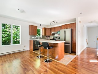 5172 Rue Radisson Photo 4