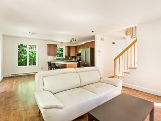 5172 Rue Radisson Photo 7