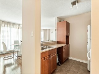 384 Rue Crépeau Photo 3