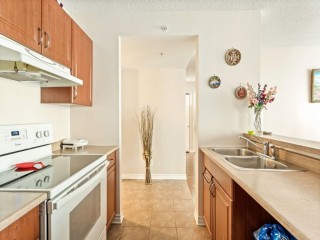 384 Rue Crépeau Photo 4