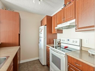 384 Rue Crépeau Photo 5