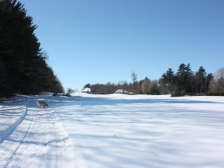 Rue Mount Victoria Photo 10