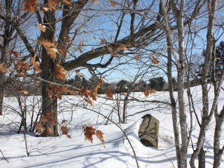 Rue Mount Victoria Photo 3