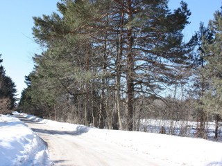 Rue Mount Victoria Photo 4