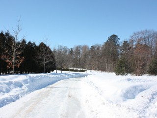 Rue Mount Victoria Photo 5