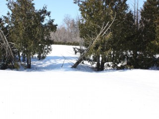 Rue Mount Victoria Photo 6