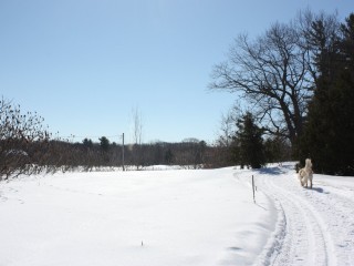 Rue Mount Victoria Photo 7