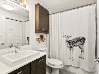 2229 Rue Ste-Catherine E. Photo 3