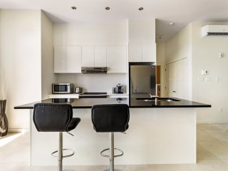 8050 Rue Jean-Chevalier Photo 6