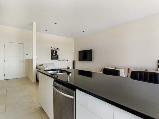 8050 Rue Jean-Chevalier Photo 8